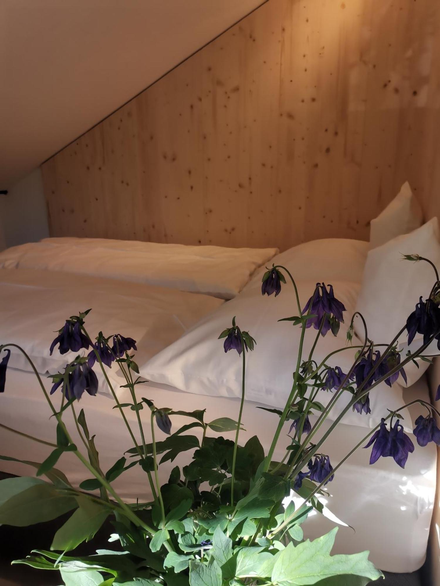 Ansitz Grustdorf Apartment อัปเปียโน ซุลลา สตราดา เดล วีโน ภายนอก รูปภาพ